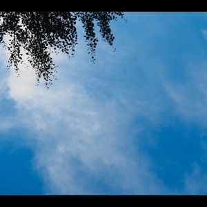 Meet your Posher, Riley